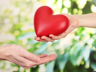 Blog de Camina hacia tu Corazón